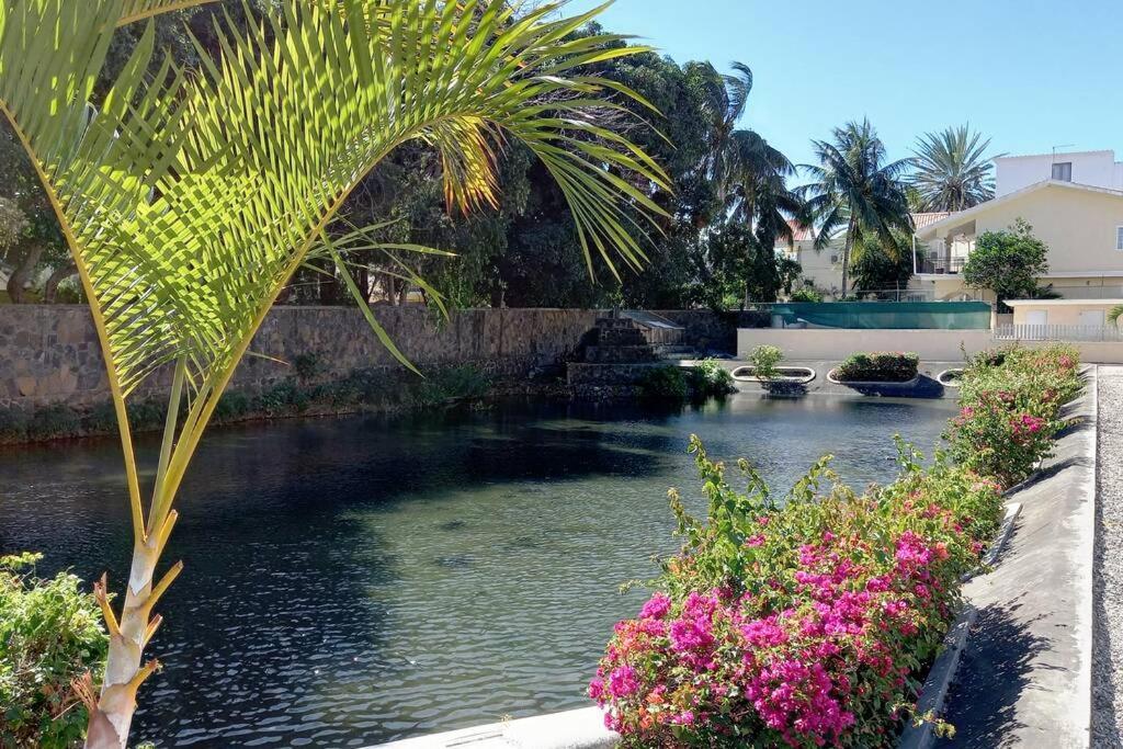 Le Dattier Holidays Flic en Flac Экстерьер фото